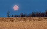 Supermoon Setting_07386-8